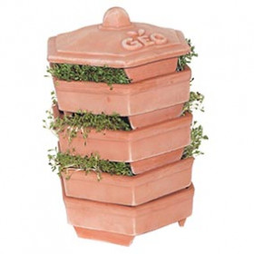 Germoir pour graines à germer Terradisiena Photo Germoir pour graines à germer Terradisiena de la marque Geo