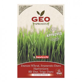 Blé Dur - Graines à germer bio - 80g Photo Blé Dur - Graines à germer bio - 80g Geo