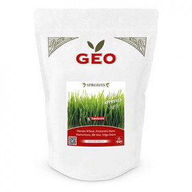 Blé Dur - Graines à germer bio - 600g Photo Blé Dur - Graines à germer bio - 600g - Geo