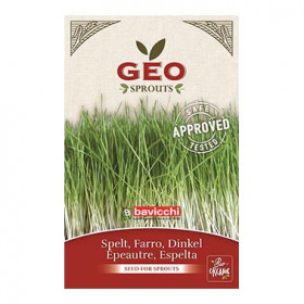 Epeautre - Graines à germer bio - 70g Photo Epeautre - Graines à germer bio - 70g - Geo