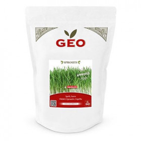 Epeautre - Graines à germer bio - 400g Photo Epeautre - Graines à germer bio - 400g - Geo