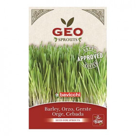 Orge - Graines à germer bio - 80g Photo Orge - Graines à germer bio - 80g - Geo