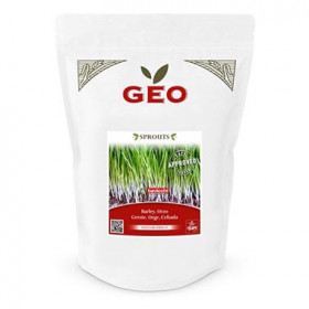 Orge - Graines à germer bio - 600g Photo Orge - Graines à germer bio - 600g - Geo