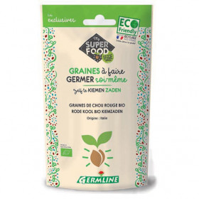Chou rouge - Graines à germer bio - 100g Photo Chou rouge - Graines à germer bio - 100g - Germline