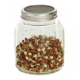 Germoir verre 1000ml sans support