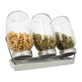 Kit 3 germoirs verre 1500ml avec support inox et plateau ceramique blanc