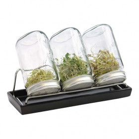 Kit 3 germoirs verre 1000ml avec support inox et plateau ceramique anthracite