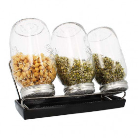 Kit 3 germoirs verre 1500ml avec support inox et plateau ceramique anthracite