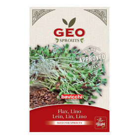 Lin - Graines à germer bio - 80g Photo Lin - Graines à germer bio - 80g de la marque Geo