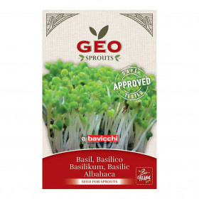 Basilic - Graines à germer bio - 6g Photo Basilic - Graines à germer bio - 6g de la marque Geo