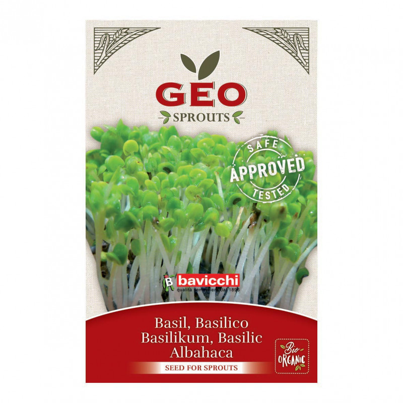 Graines à Germer Lentilles Brunes Bio - Sachet Pour Faire Des Germes Maison Riches En Vitamines
