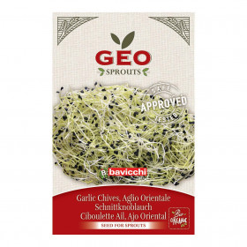 Photo Ciboulette Ail - Graines à germer bio - 6g de la marque Geo