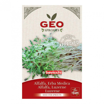 Kit Découverte Germination GERM'LINE - Germoir Bocal + 3 Graines Bio (Alfalfa, Fenugrec, Radis) - Fabriqué En France
