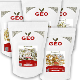 🌱 Kit Protéiné Grand – 5 Légumineuses à Germer GEO