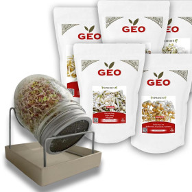 🌱 Kit Protéiné GEO – 5 Légumineuses à Germer + Germoir en Verre