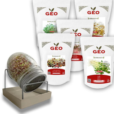 💪 Kit Vitalité Immunité – Boostez vos défenses naturellement