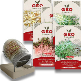 💪 Kit Vitalité Immunité – Boostez vos défenses naturellement