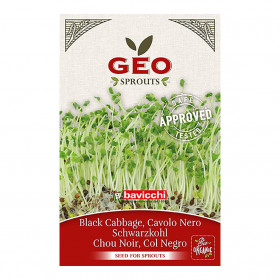 Chou Kale Noir - Graines à germer bio - 6g Photo Chou Kale Noir - Graines à germer bio - 12g de la marque Geo