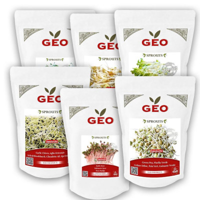 💧 Kit Essentiel – 6 Graines à Germer BIO