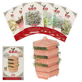 💧 Kit Essentiel – Germoir en Terre Cuite + 6 Graines Bio