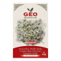 💧 Kit Essentiel – Germoir en Terre Cuite + 6 Graines Bio