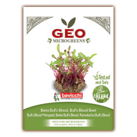 BETTE BULL'S BLOOD - MICROGREENS - 15g BIO - GEO