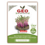 BETTE CHIOGGIA - MICROGREENS - 15g BIO - GEO