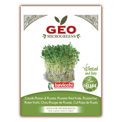CHOU ROUGE DE RUSSIE - MICROGREENS - 15g BIO - GEO