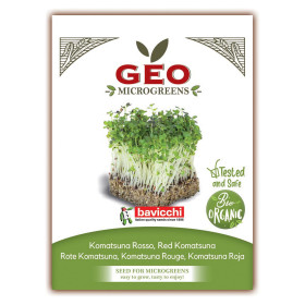 KOMATSUNA ROUGE - MICROGREENS - 15g BIO - GEO