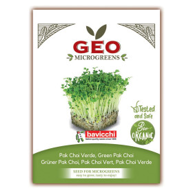 PAK CHOI VERT - MICROGREENS - 15g BIO - GEO