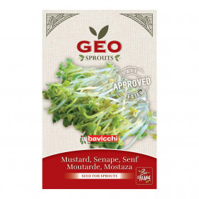 Moutarde - Graines à germer bio - 50g Photo Moutarde - Graines à germer bio - 50g de la marque Geo