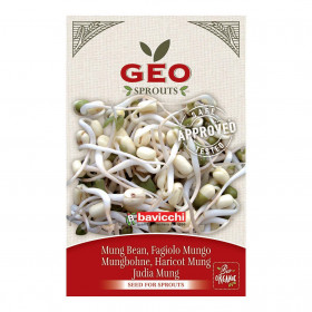 Haricot Mungo - Graines à germer bio - 90g Photo Haricot Mungo - Graines à germer bio - 90g de la marque Geo