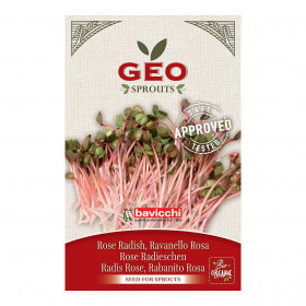 Radis Rose - Graines à germer bio - 20g Photo Radis Rose - Graines à germer bio - 20g de la marque Geo