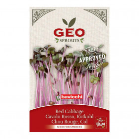 Photo Chou Rouge - Graines à germer bio - 12g de la marque Geo