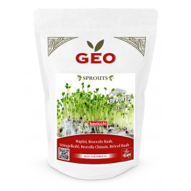 Brocolis Raab - Graines à germer bio - 500g Photo Brocolis Raab - Graines à germer bio - 500g de la marque Geo