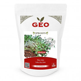 Lin - Graines à germer bio - 300g Photo Lin - Graines à germer bio - 300g de la marque Geo
