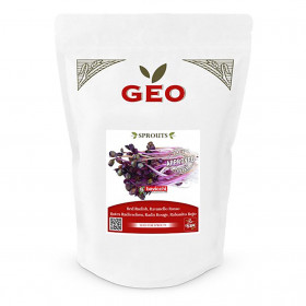 Radis Rouge - Graines à germer bio - 500g Photo Radis Rouge - Graines à germer bio - 500g de la marque Geo