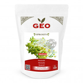 Moutarde - Graines à germer bio - 300g Photo Moutarde - Graines à germer bio - 300g de la marque Geo