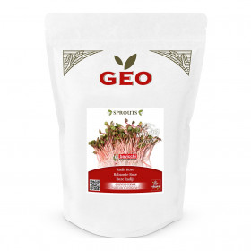 Radis Rose - Graines à germer bio - 500g Photo Radis Rose - Graines à germer bio - 500g de la marque Geo
