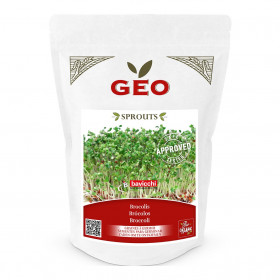 Brocolis - Graines à germer bio - 300g Photo Brocolis - Graines à germer bio - 300g de la marque Geo