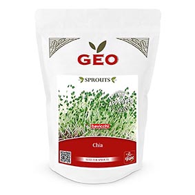 Photo Graines à Germer de chia Geo Moyen format