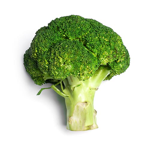 Image brocoli frais