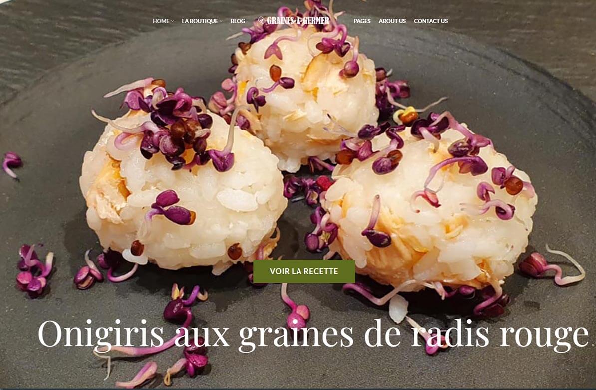 Page d'accueil du site graines-a-germer.fr